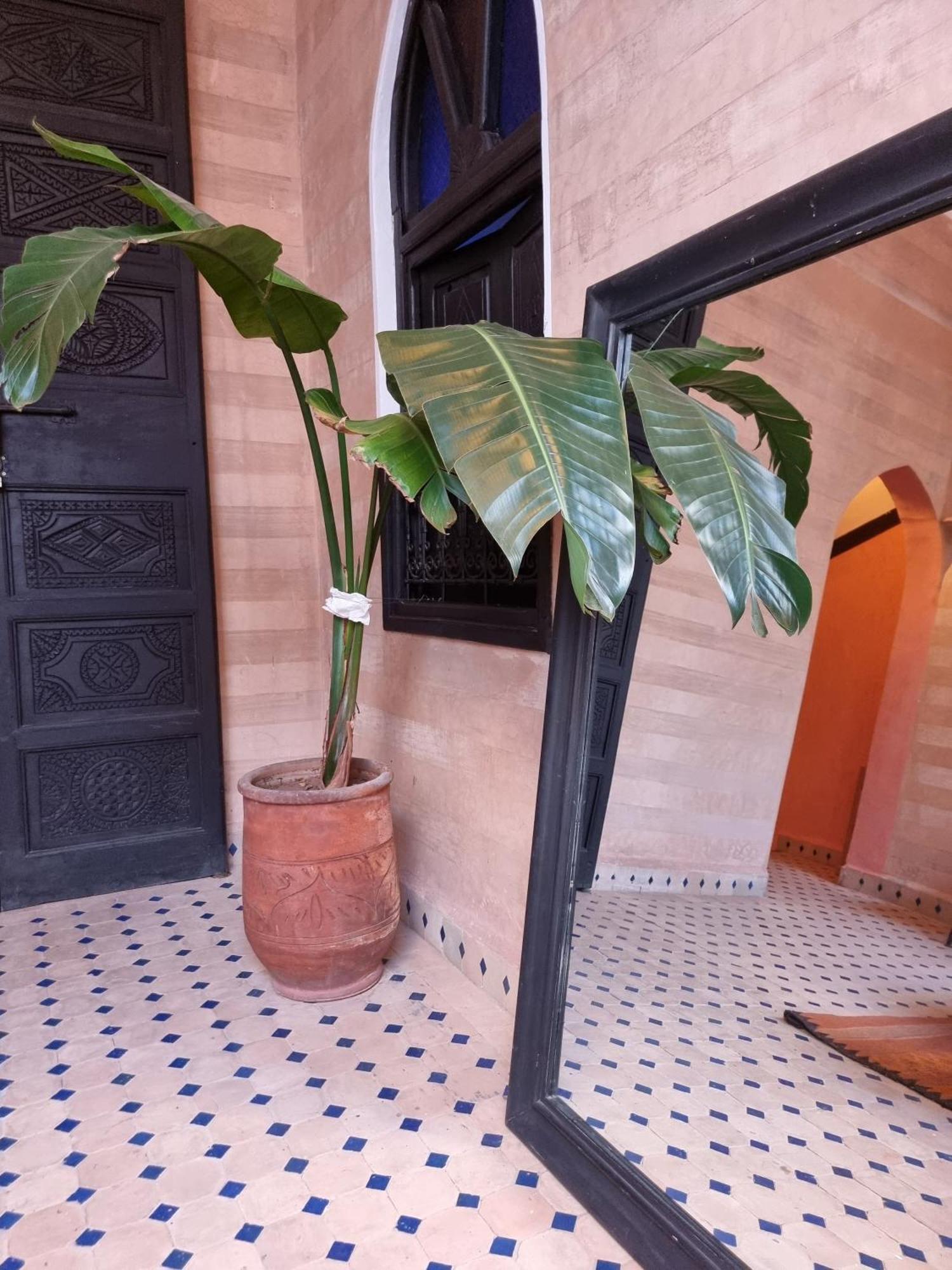 Riad Black Doors Marrakesh Exteriör bild