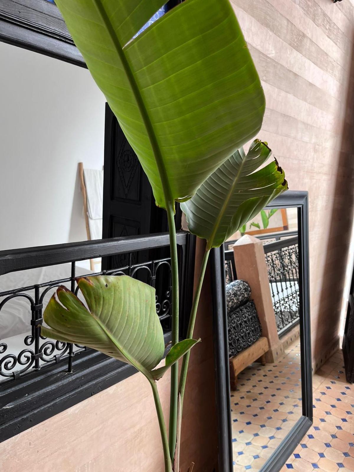Riad Black Doors Marrakesh Exteriör bild